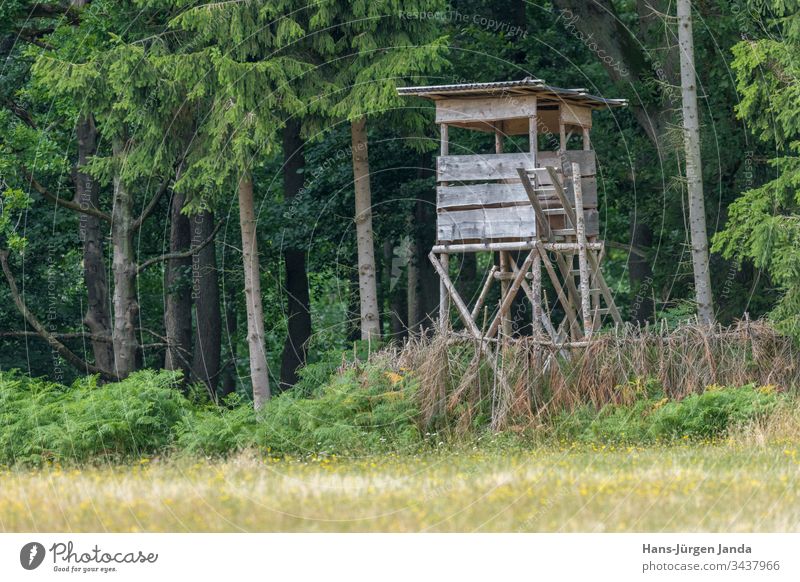 Huntsman high seat at the edge of the forest in front of a meadow with green background High seat hunting hunter lookout animals trees europe hide nature