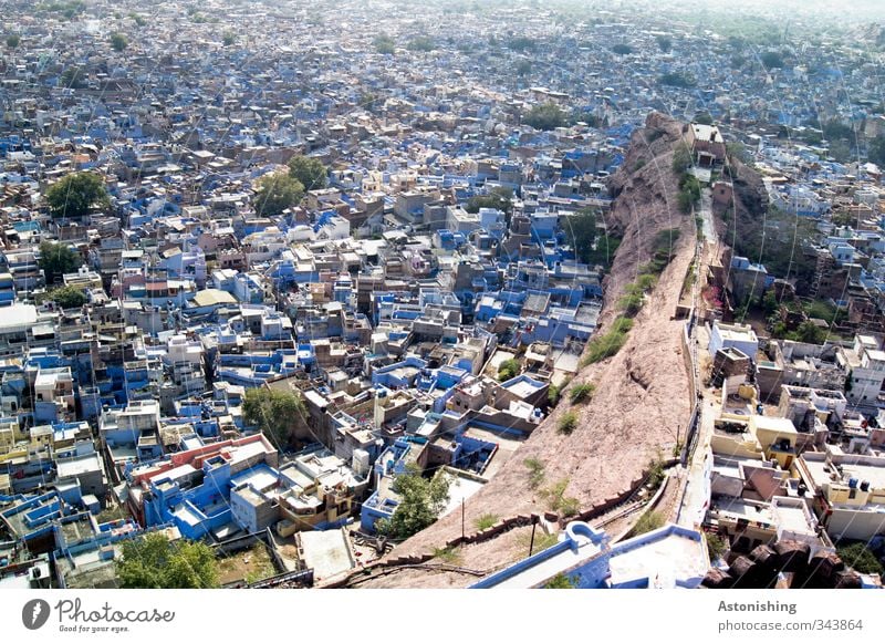 #400 - blue city II Environment Weather Beautiful weather Tree Hill Rock Jodphur Rajasthan India Asia Town Downtown Overpopulated House (Residential Structure)