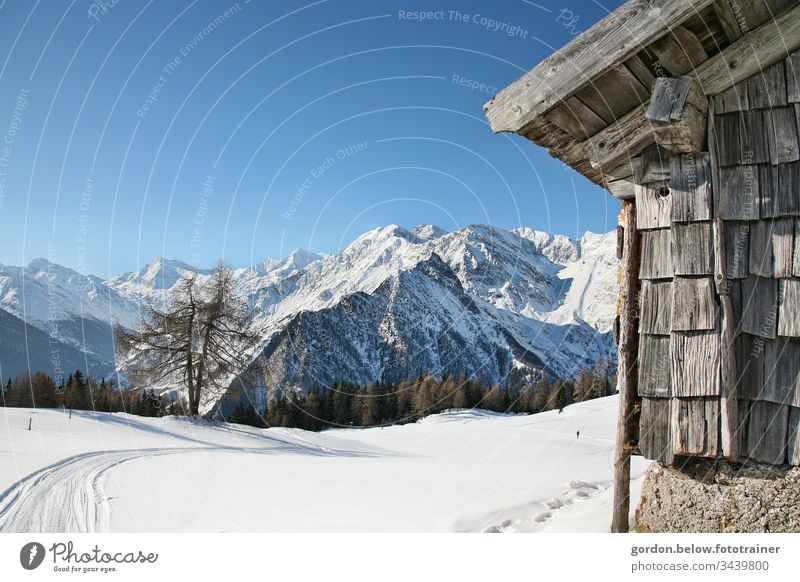 Mountain worlds in snow daylight Colour Landscape format little colour Sky mountains Woodshed trees Snow panoramic shot Nature Exterior shot Blue Natural