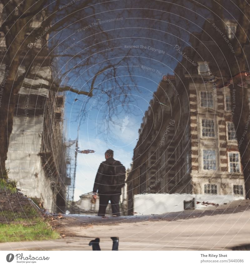 A small puddle of water shows a man as he walks through London, with classic buildings around him and a reflected tree to the left london Architecture England