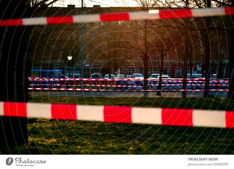 Corona Thoughts | The evening sun illuminates a green area with trees and a parking lot in front of a row of houses in the background, which is closed off by a red and white fluttering band