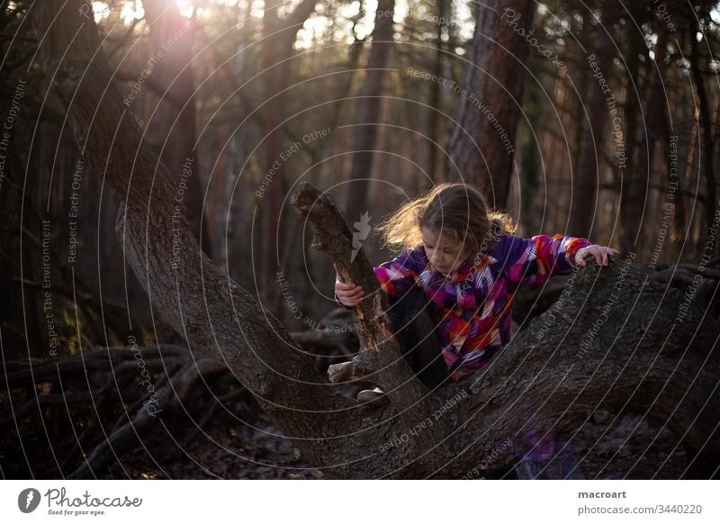 Child playing in the forest Forest Coniferous forest wood roots aboveground Nature Summer Season floral needles coniferous Forestry tree huts