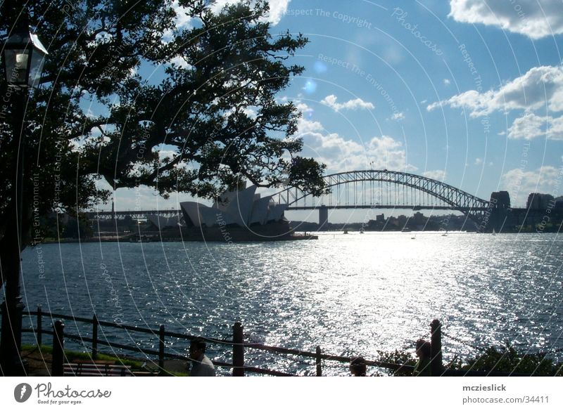 Habour Bridge Sydney Australia Art Tree Clouds Opera Skyline Tourist Attraction metrople Water sigths Sightseeing