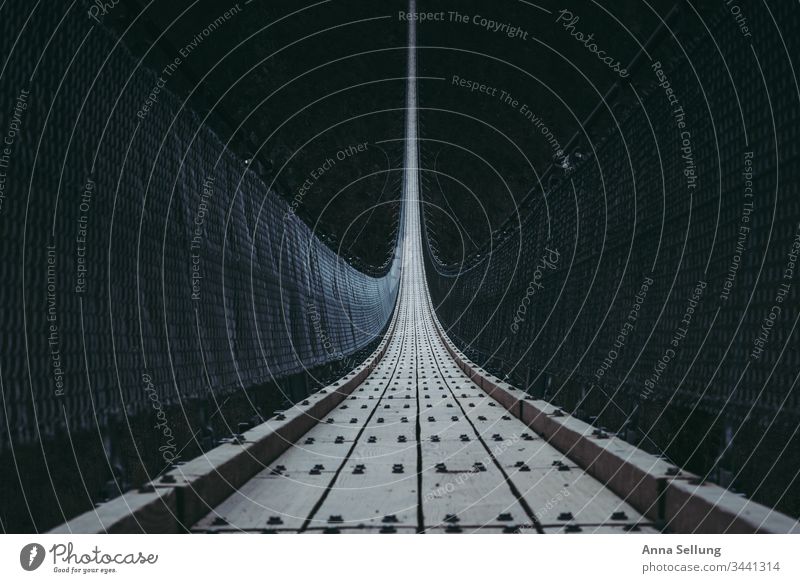 Guided view over the suspension bridge which hangs in the open Mörsbach Sunrise vulture layer Calm free time Traffic infrastructure Lanes & trails Vantage point