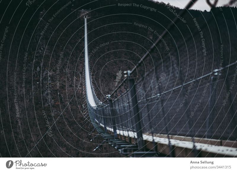 Suspension bridge of wire ropes over the gorge as connections Mörsbach Sunrise vulture layer Hunsrück Hiking Landscape Trip Tourism Deserted Colour photo