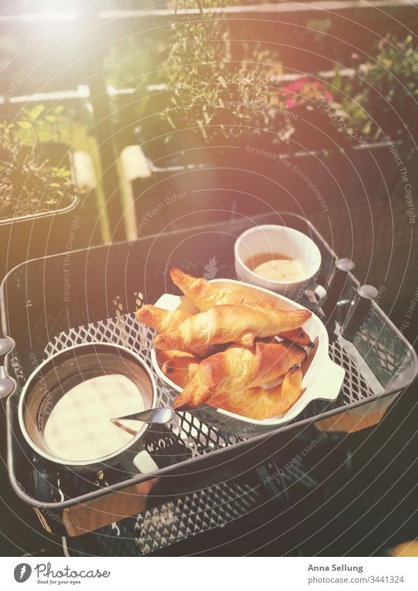 Breakfast in the sun on the balcony - Isolation Spring fever Cozy coziness Warmth Relaxation Safety (feeling of) Rest Morning Domestic Life Coffee Sunlight