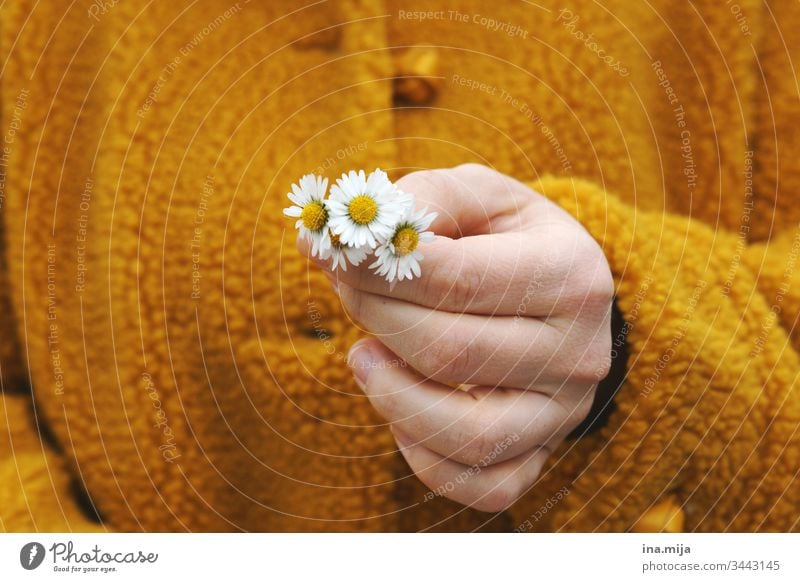 Hello! romantic Declaration of love Friendship nice Woman Upper body kind courteously daylight Spring flowering plant observantly Neutral Background Bright