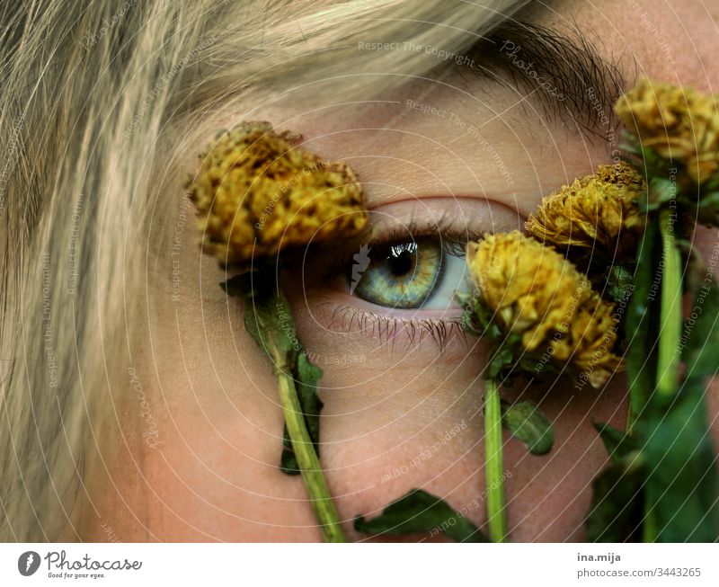 Eyewitness of the past see sehkraft Eyes Green Yellow yellow-green yellow green withered Dry Dried flower Dried flowers green eyes Pupil iris Eye colour