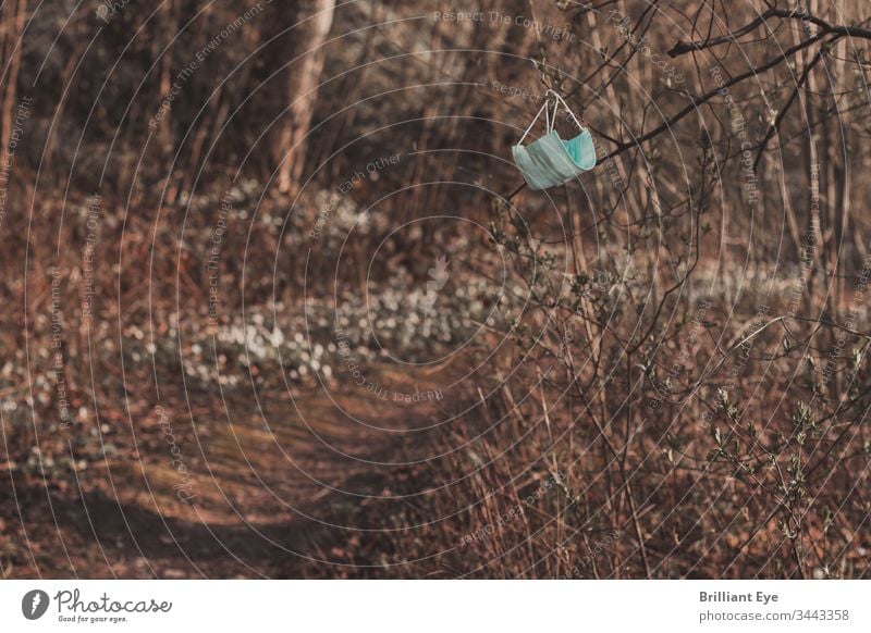 Protective mask hangs on branches people Defence Clean Single Outdoors Equipment peril soiling Face mask flu Forest Health care Illness Air pollution Spring