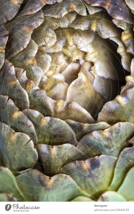 cooked artichoke on a blue plate Artichoke Close-up Pattern Design Nature Eating Fresh fractal Fibonacci marinated serve Italian salubriously Nutrition Dinner