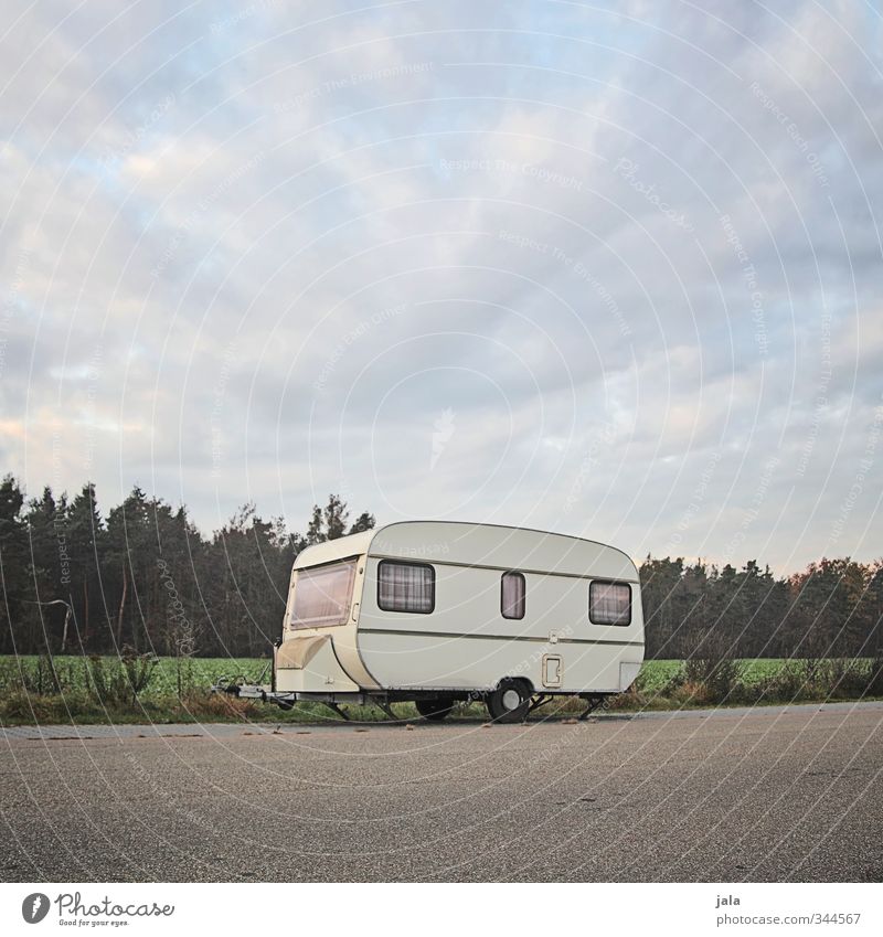 copied Nature Landscape Sky Plant Tree Grass Field Forest Street Caravan Gloomy Colour photo Exterior shot Deserted Copy Space top Copy Space bottom Day