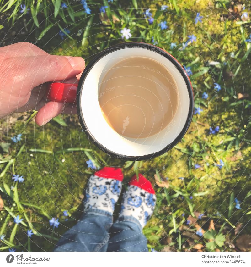 hand holding coffee cup, flowerbed with blue flowers, colorful socks, bird's eye view Flowerbed Coffee cup Coffee mug Mug Hand Nature Coffee break Red Blue