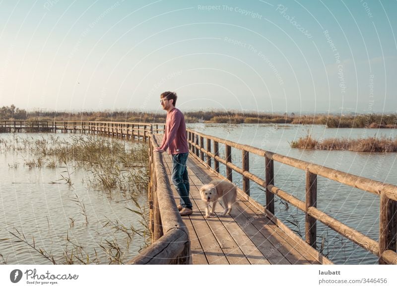 Man and dog looking to the horizon in a natural environment of lagoon and pier - Weekend sunset with puppy Lagoon Nature reserve nature landscape Puppies Dog