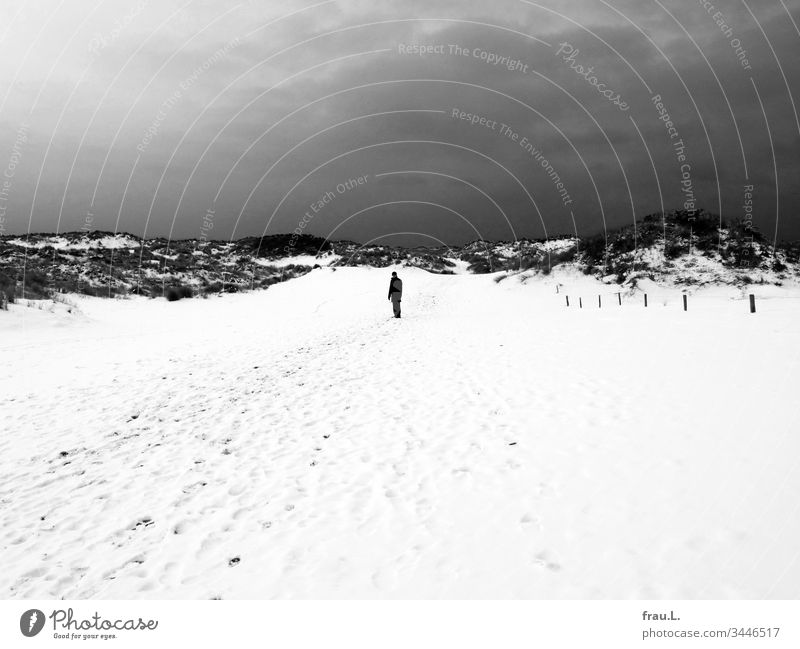 "Belgium," she had said, "to the coast," and he had nodded ok, but now that he had lost his way in these barren snow-covered dunes, he cursed himself for it once and for all.