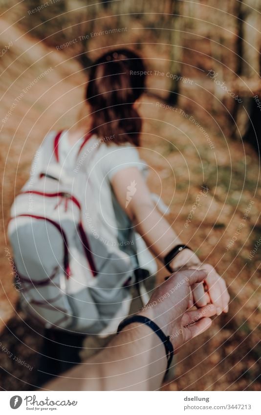 Young couple goes hiking in the forest and holds hands Wellness Expedition Day Far-off places Camping Harmonious Going Shadow on one's own Well-being Target