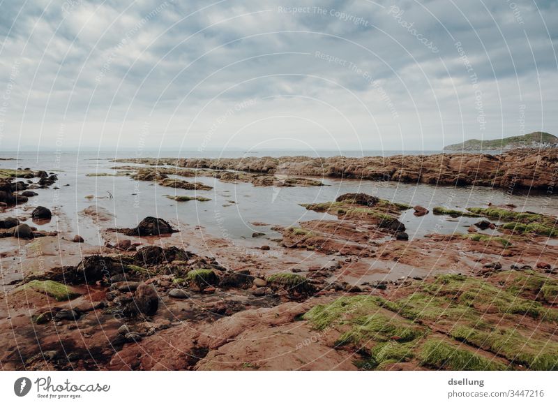 Rocky coast with cloudy sky rocky coast Stone Sky Environment Tourism Water Deserted Summer Natural Bay Day Horizon Orange Vacation & Travel Trip Far-off places