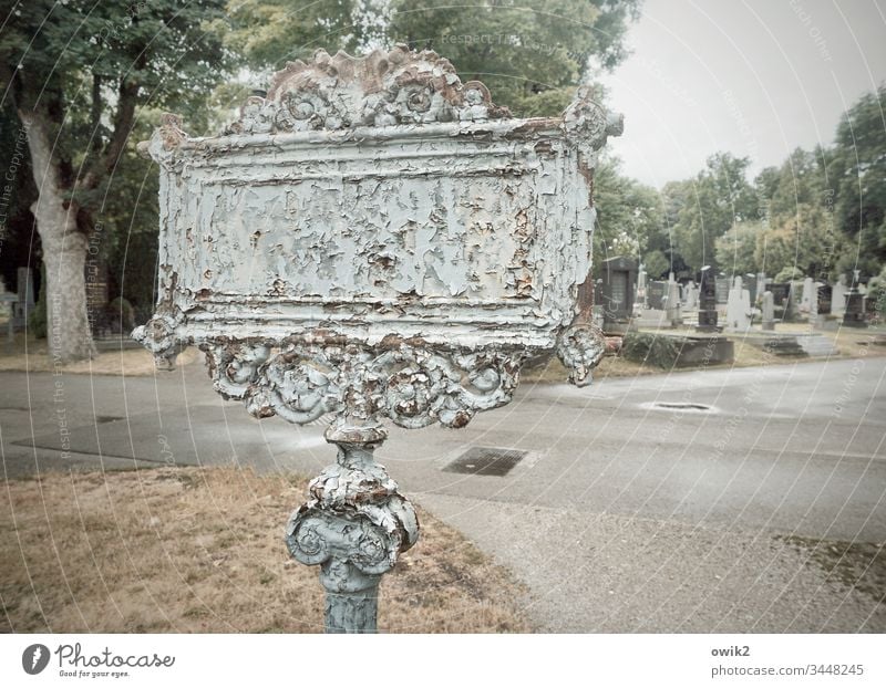 signpost Cemetery Graves Road marking Old Historic corroded Ravages of time Metal decoration Ornament Curlicue Street Asphalt trees Transience Past Grief