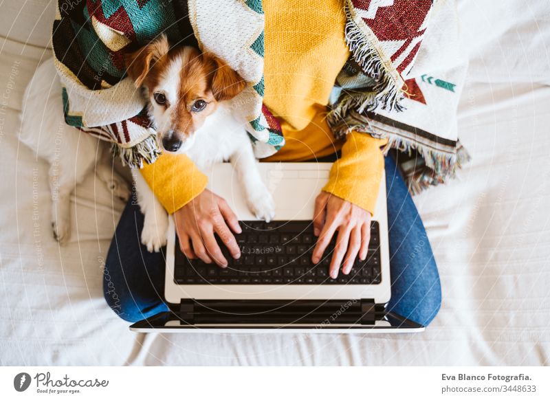 young woman working on laptop at home, sitting on the couch, wearing protective mask. Cute small dog besides. Stay home concept during coronavirus covid-2019