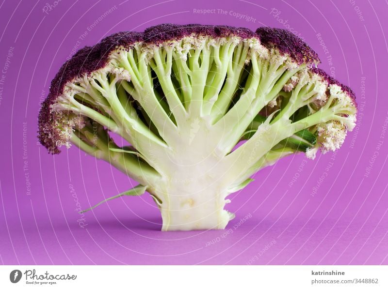 Fresh raw purple cauliflower on a purple background violet vegetable cabbage green group health healthy ingredient nutricious nutrition piece closeup cuisine