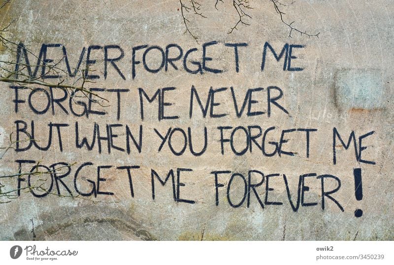 no half things Wall (building) Wall (barrier) Old Plaster Letters (alphabet) Characters upper-case letters Document English saying Song line lyrics love song