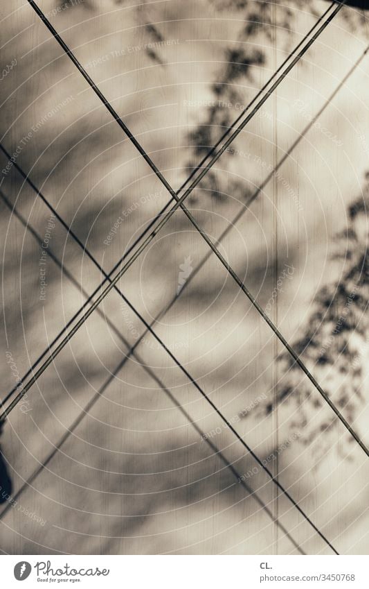 abstract lines Wall (building) leaves Shadow Shadow play Light Sunlight Abstract abstraction Line Deserted Exterior shot Day Pattern Structures and shapes