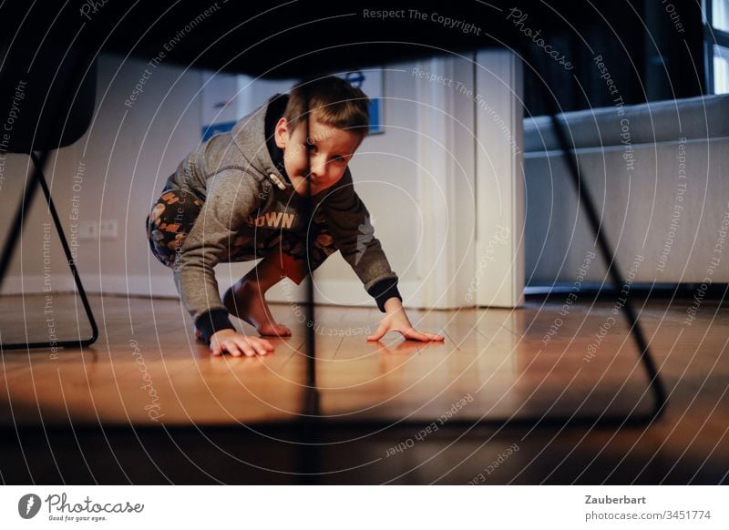 Boy playing squatting looks under a table with modern chairs Boy (child) Child Infancy Search Hide Flat (apartment) Living room Playing Interior shot