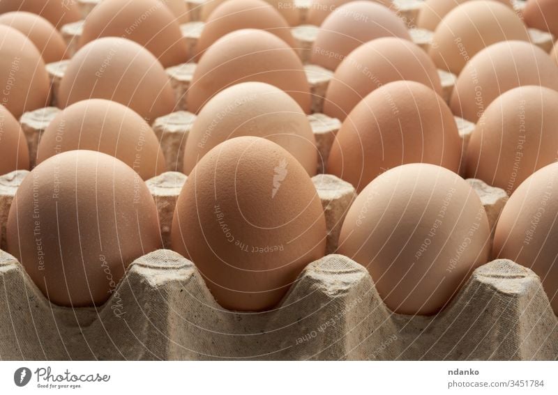 whole round raw brown homemade chicken eggs in a paper tray agriculture animal background bird breakfast case closeup color cuisine diet dinner domestic easter