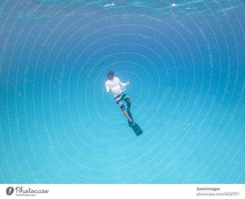 Underwater view of man free diving in blue ocean. freediver sea marine snorkeling scuba wild beautiful aquatic underwater free dive snorkling tropical nature