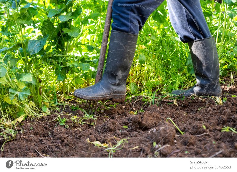 Man is digging spring soil with spading fork. Work in a garden rake spade farmer man boot hobby boots agriculture dirt shovel gardening cultivation tool