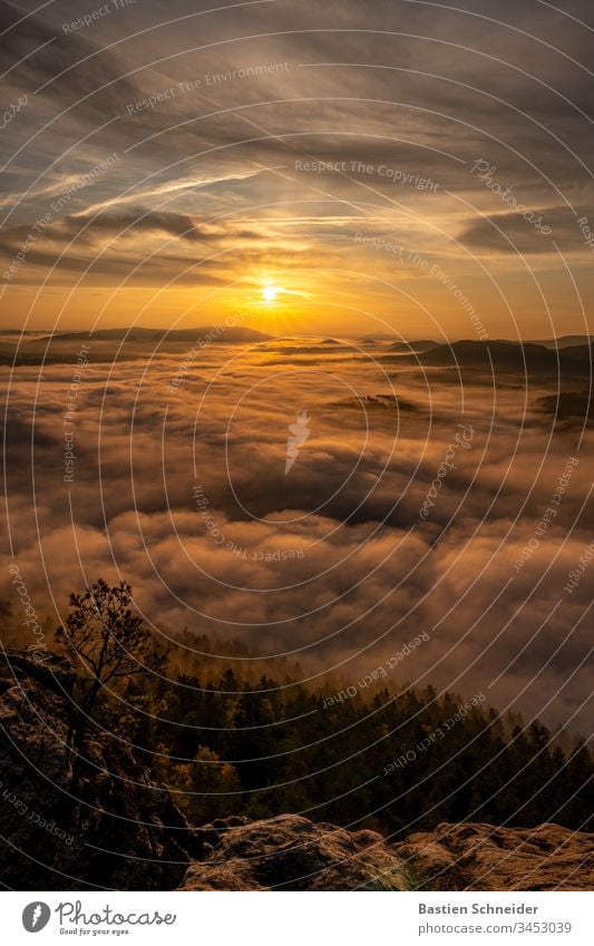 Sunrise from Lilienstein, Saxon Switzerland, Saxony, Germany Central perspective Deep depth of field Back-light Silhouette Contrast Copy Space top