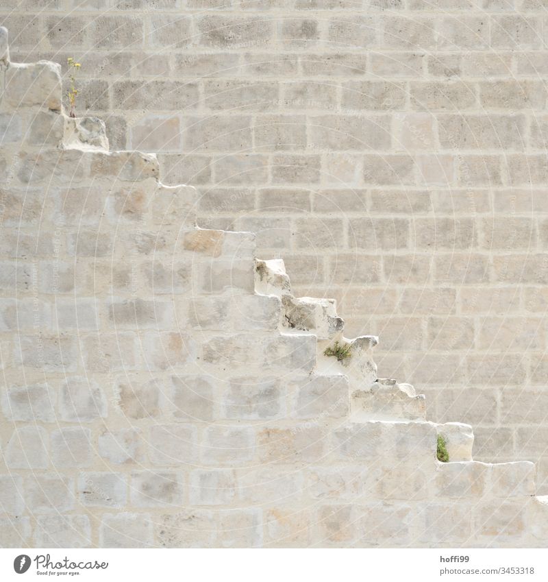 derelict remains of a staircase Stairs Sandstone sandstone wall Historic Buildings Exterior shot Architecture Facade Wall (barrier) Old town Wall (building)