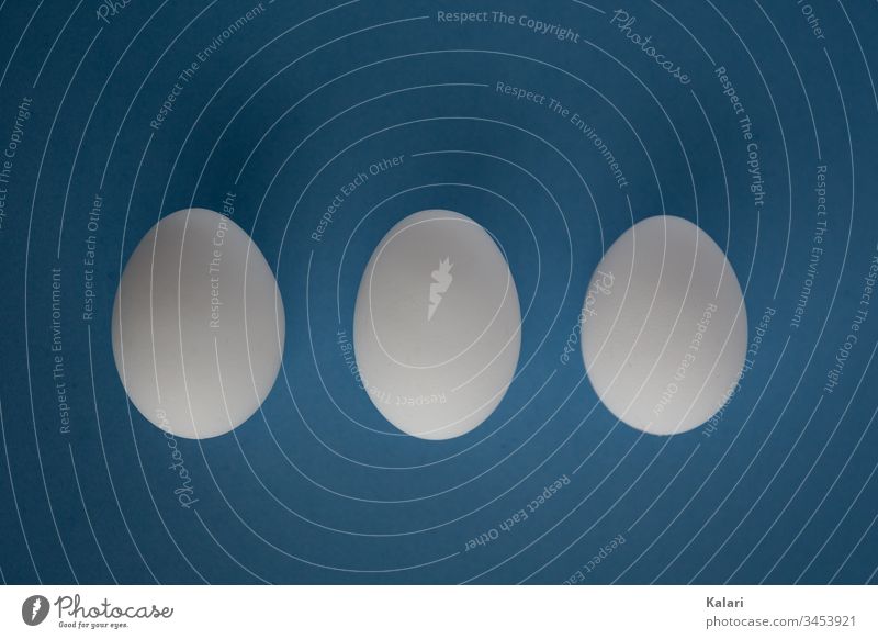 Three white eggs lined up in a row Egg symmetric Easter egg Blue Eggshell Abstract White Blur break Eating segregated Breakfast Fresh organic albumen Raw