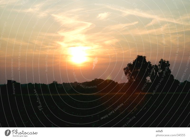 Smudged clouds Clouds Field Evening barren landscape Sun Orange Illuminate Fallow land