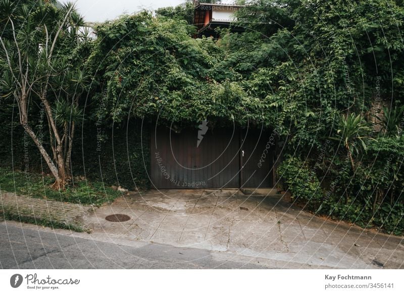 entrance to property cowered with plants in Rio de Janeiro, Brazil alarm architecture botanical botany brazil building bush countryside day decorative door