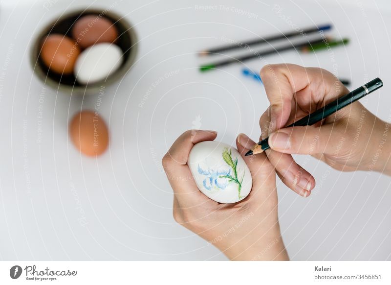 Easter egg with coloured pencils for Easter painted with flower as motive flowers crayon Drawing Watercolours White stop close up Egg Fingers Watercolors