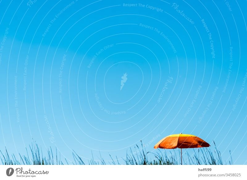 orange parasol in front of a blue sky with beach grass Blue minimalism minimalitic North Sea Orange Umbrella Sunshade Orange-red Cloudless sky Blue sky Beach