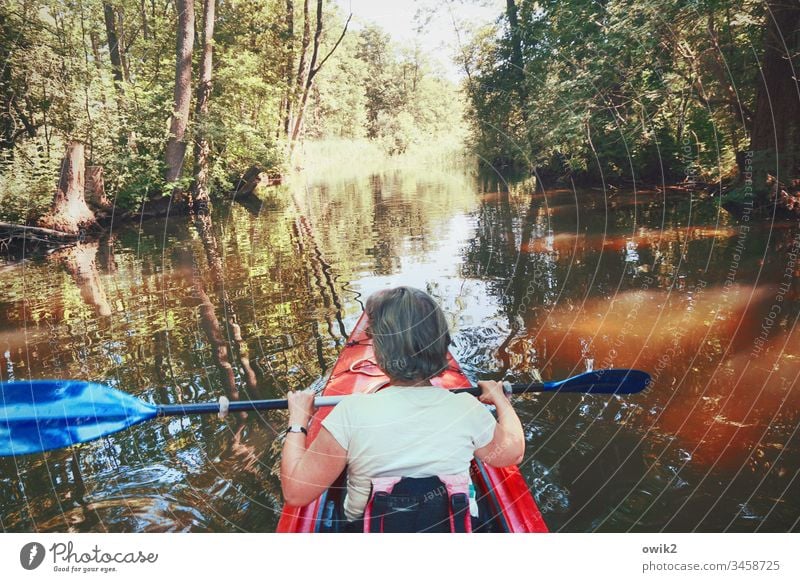 Row back Woman Sports Athletic Leisure and hobbies Rowing Paddling Kayak Canoe Canoe trip Vacation & Travel Water Nature Aquatics Trip Summer Exterior shot