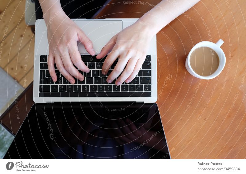 Closeup of hands of a woman typing on a laptop at home business coffee communication computer desk entrepreneur female freelancer home office indoor indoors