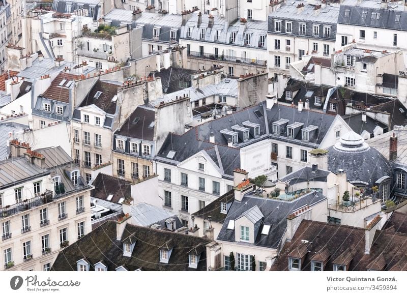 rooftops of the city of Paris France Gothic architecture art boulevard building canvas church cityscape composition depiction europe house landscape no person