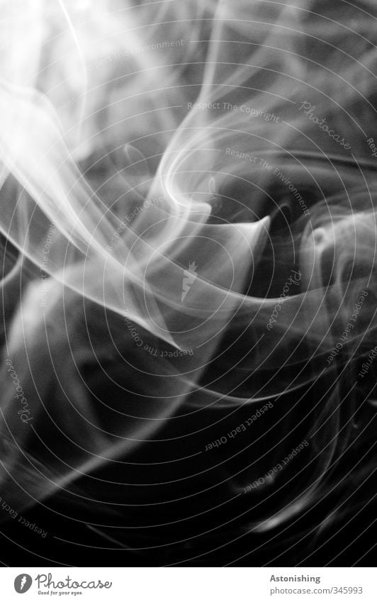 smoke Elegant Stripe Smoke Movement Smoking Esthetic Cold Gray Black White Vice Smoky Contrast Line Political movements Swing Easy Fog Joss sticks Cigarette