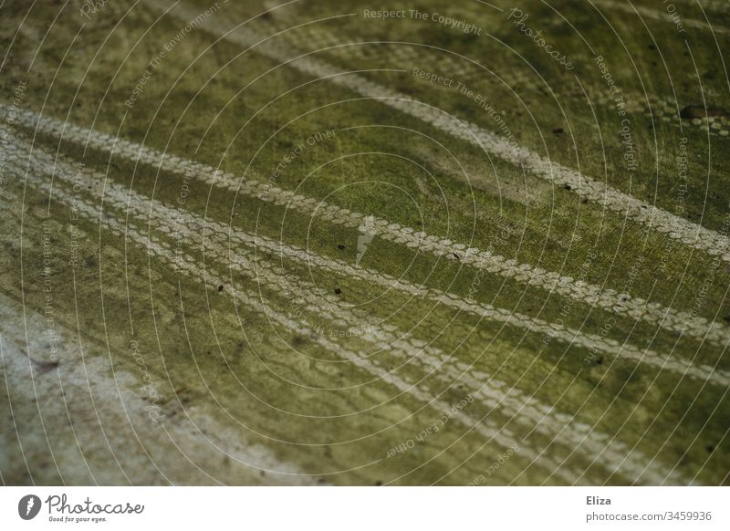 Tire tracks on green wet dirty ground Skid marks Green Ground Tracks Wet Rain slippery Exterior shot Deserted Colour photo Detail off Dirty background Water