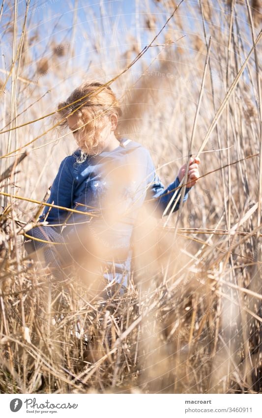 Child playing in the reeds by the lake plays Lake Exterior shot Nature Colour photo Landscape Water spring Lakeside Deserted covid19 school closures Free