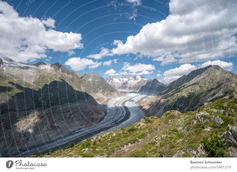 Aletsch Glacier, the largest glacier in the Alps Deserted Landscape Exterior shot Colour photo Interlaken Uniqueness Freedom Cold virgin yoke Mountain Blue Sky