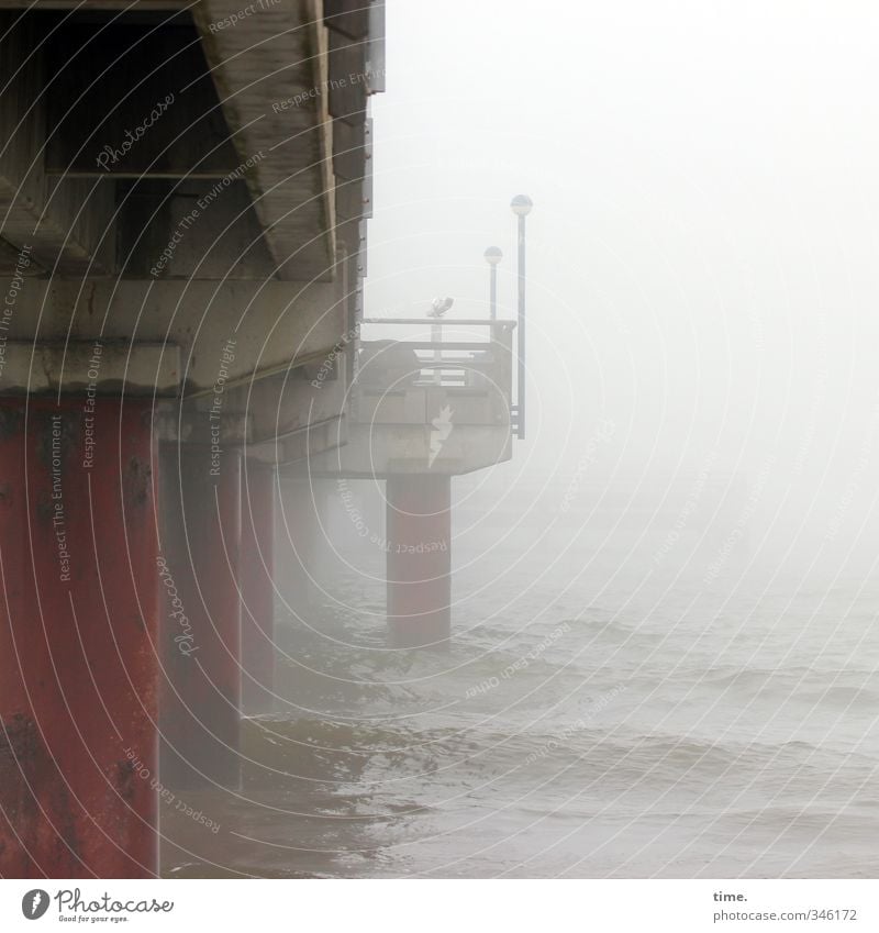 colossus Water Climate change Bad weather Fog Waves Coast Baltic Sea Bridge Architecture Sea bridge Lamp Wooden stake Concrete Platform Threat Dark Under