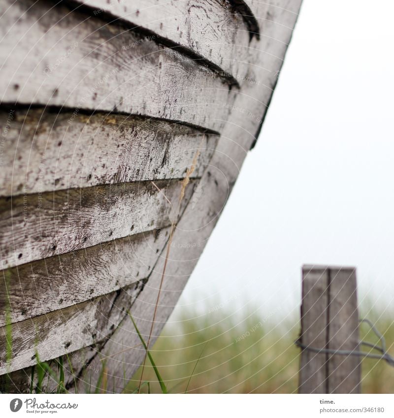 anchor spots Horizon Meadow Navigation Wreck Plank Bollard Wire Wire cable Wood Old Authentic Historic Small Dry Optimism Trust Protection Friendship Together