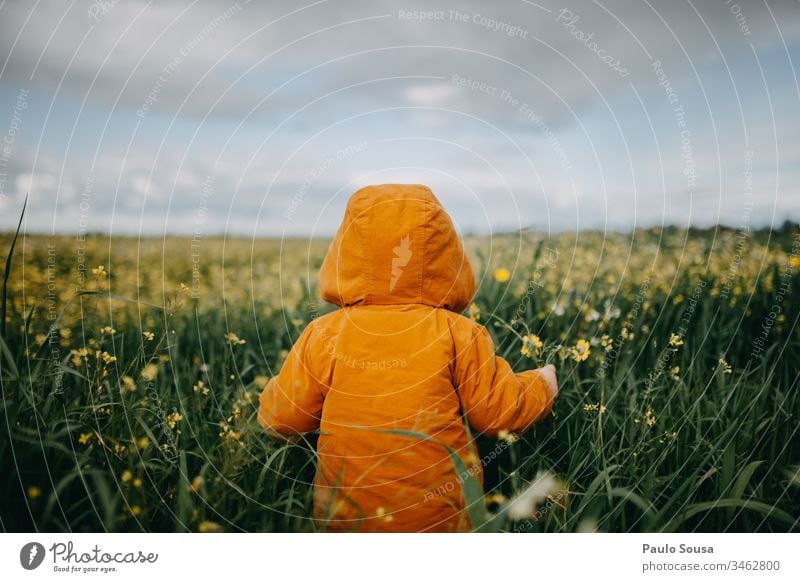 Rearview child in flower field Orange colorful Spring Spring fever Spring flower Rear view Child childhood Childhood memory Field Nature Jacket orange color