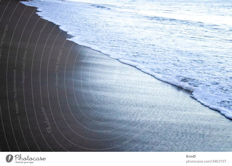 White Foamy Edge of Surf on Wet Sand Beach Close Up beach shore ocean sea surf foam water wet sand texture shape line edge white detail nature beauty beautiful