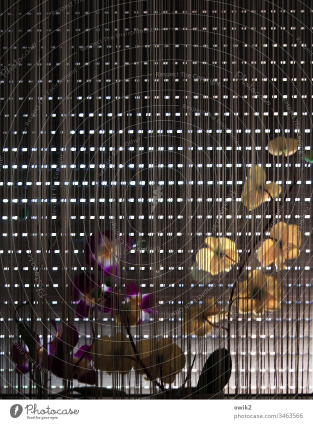 texture Window Venetian blinds Roller blind Drape Closed Shadow Deserted Living or residing Roller shutter Facade Detail Light Structures and shapes Contrast