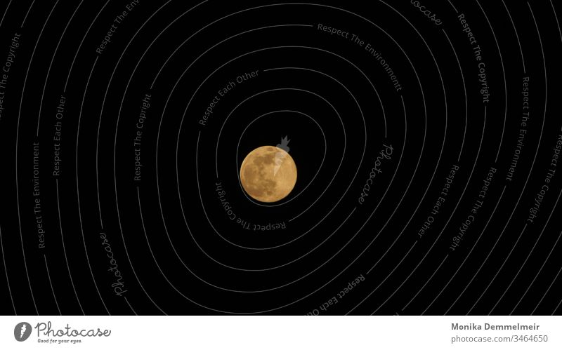 Supermond supermond full moon night sky darkness full moon night Nature Deserted Moonlight conceit Full  moon Exterior shot Long exposure Night sky