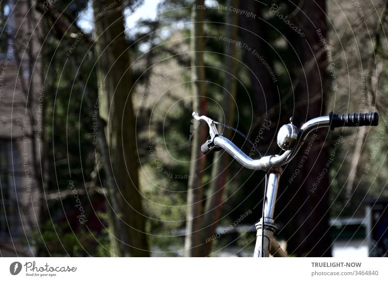 The chrome handlebars of the old ladies' bicycle are equipped with a spread hand brake on the right and a bell on the left side and stand in bright contrast to the dark, blurred background with trees